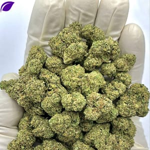 Cadillac Rainbows THCA Flower - Premium Colorful Cannabis for Wholesale Buyers