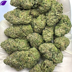 Cap Junky THCA Flower - Potent Hybrid with Diesel and Sour Notes for Wholesale Buyers