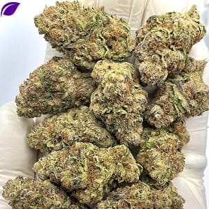 Milky Way Exotic THCA Flower - Premium Sweet Hybrid Cannabis for Wholesale