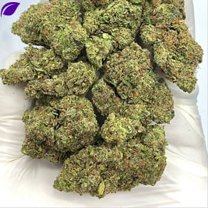 Tropicana Kush THCA Flower - Tropical Hybrid Cannabis for Wholesale