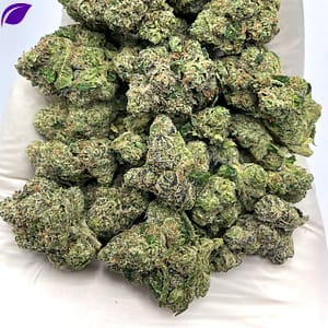 White Cherry Blaster THCA Flower - Sweet Cherry Hybrid for Wholesale Buyers