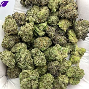 Baby Jokerz THCA Flower for wholesale purchase, vibrant premium buds