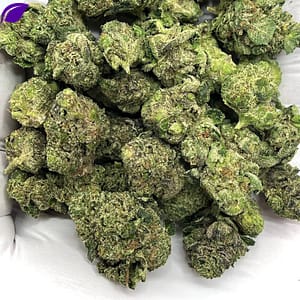 Blue Zushi THCA Flower, premium wholesale cannabis strain