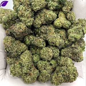 Bulk Spooky Runtz THCA Flower with over 30% THCA, compliant THC content for wholesale
