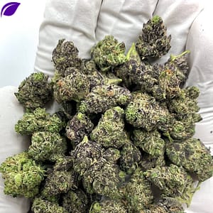 Premium Grape Gelato THCA Flower wholesale, aromatic and potent buds