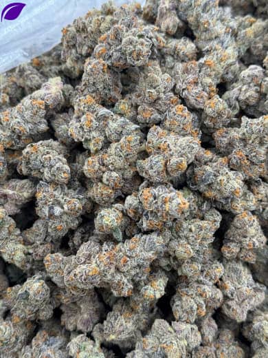 Green Crack HHC Flower Wholesale - Bulk HHC Buds - High-Quality Cannabis