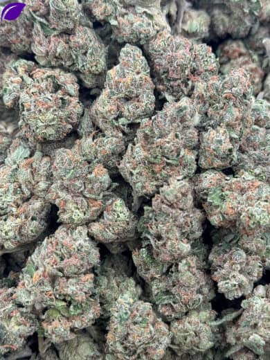 Pineapple Express HHC Flower - Wholesale HHC Buds - High-Quality Cannabis