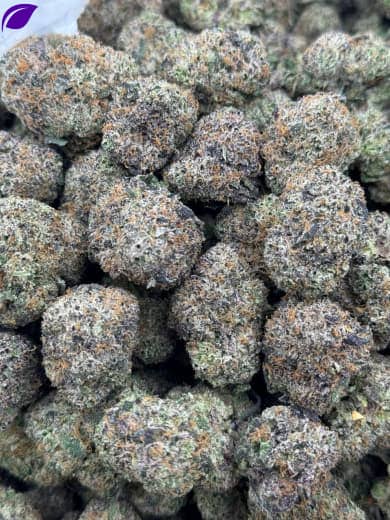 Wholesale Purple Punch HHC Flower - Bulk HHC Buds - High-Quality Cannabis
