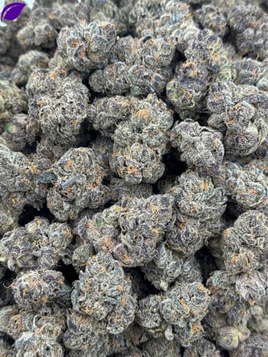 Wholesale Sour Diesel HHC Flower - Bulk HHC Buds for Sale - High-Quality Cannabis