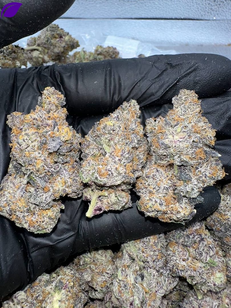 Candy Rain THCa