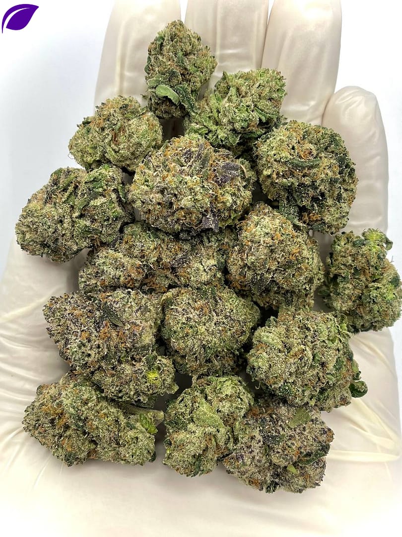 Razzmatazz Runtz THCA Flower - Sweet Berry-Flavored Hybrid Cannabis