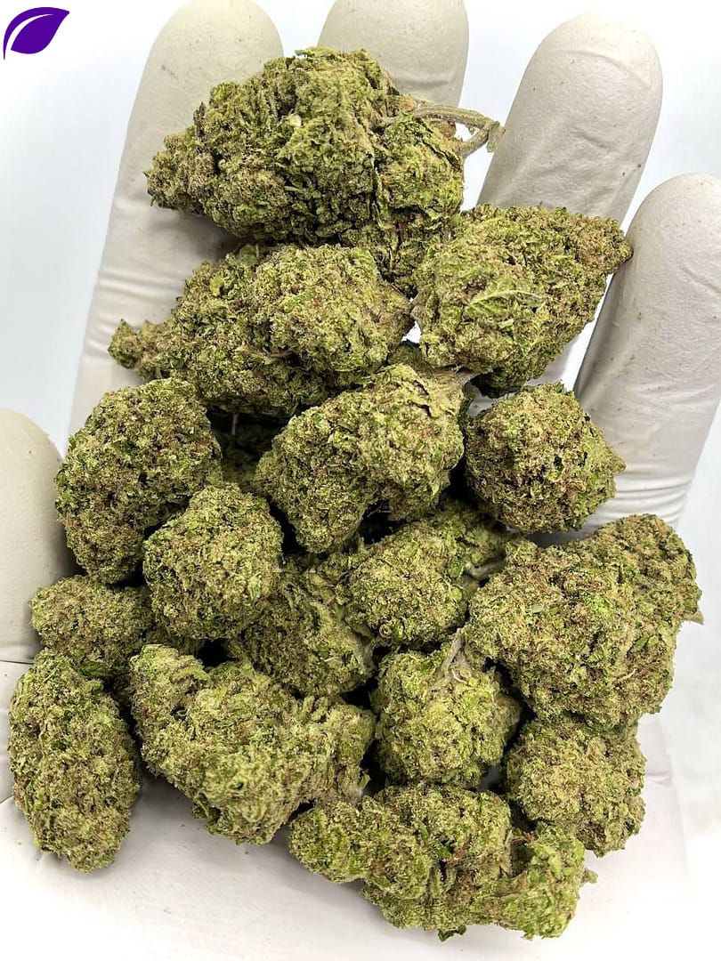 OG Fruit Smoothie THCA Flower premium quality with over 30% THCA, below 0.3% THC