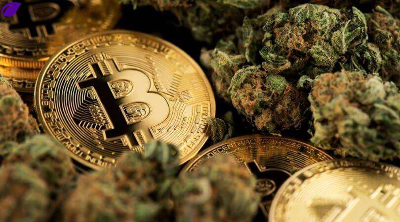 Buying weed with bitcoin