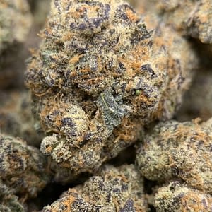 Amaretto Exotic THCa Flower