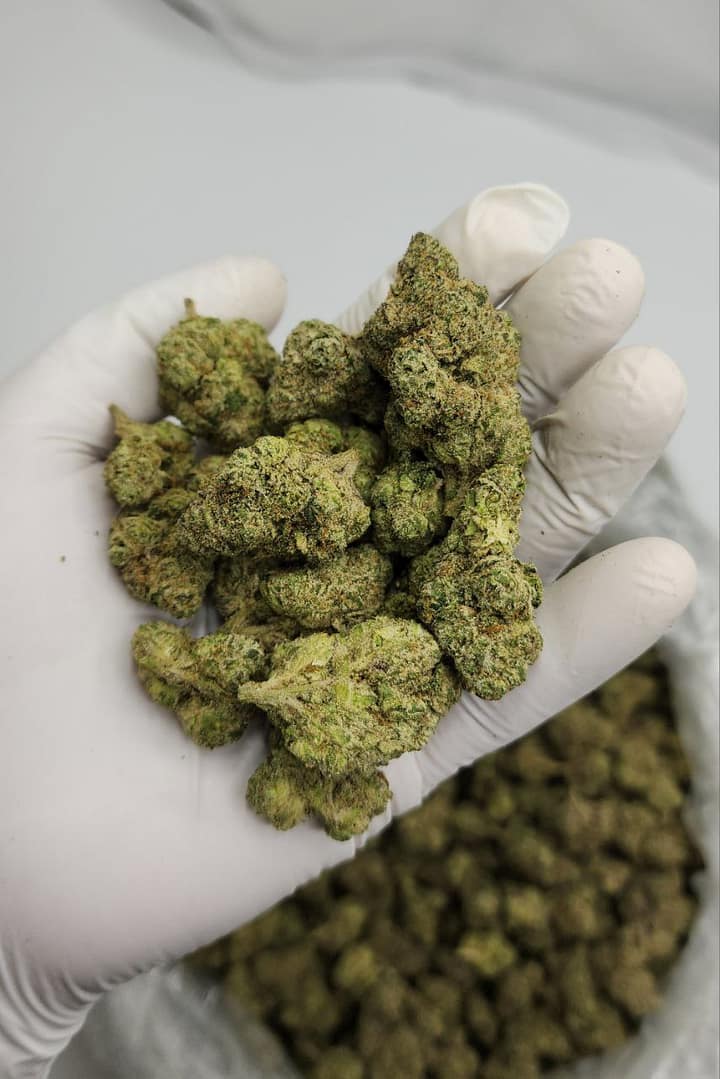 Popeye Runtz THCA Flower