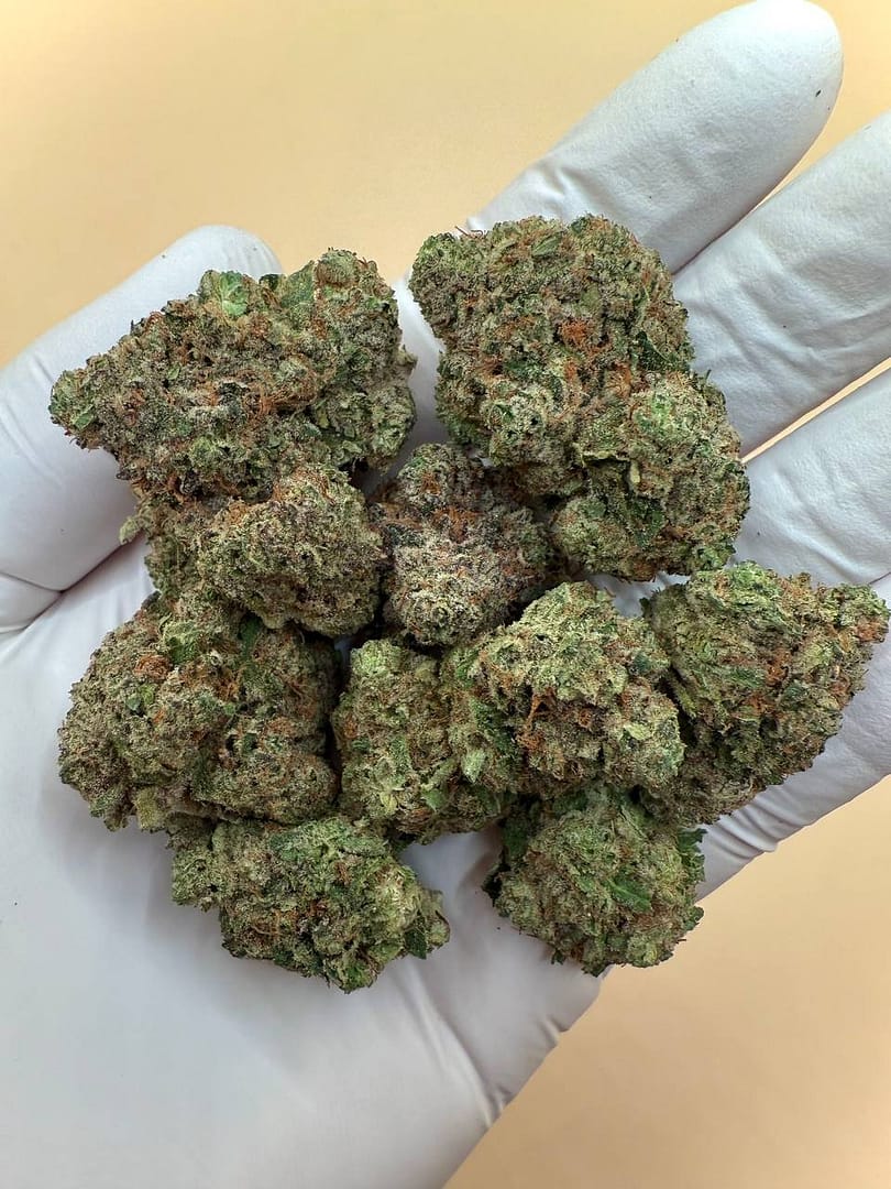 Home 6 Girl Crush THCA Flower