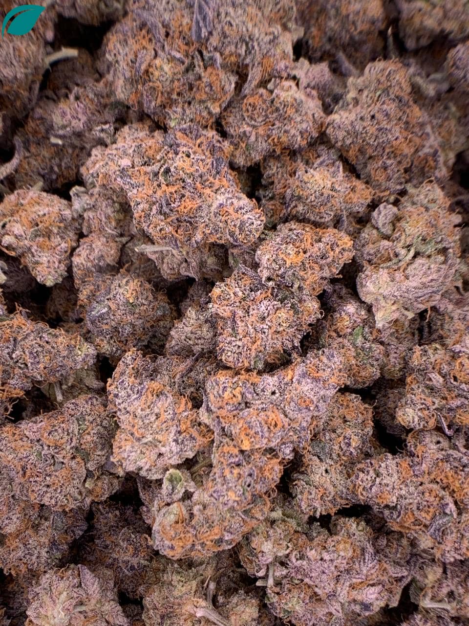 Sundae Driver THCa Flower