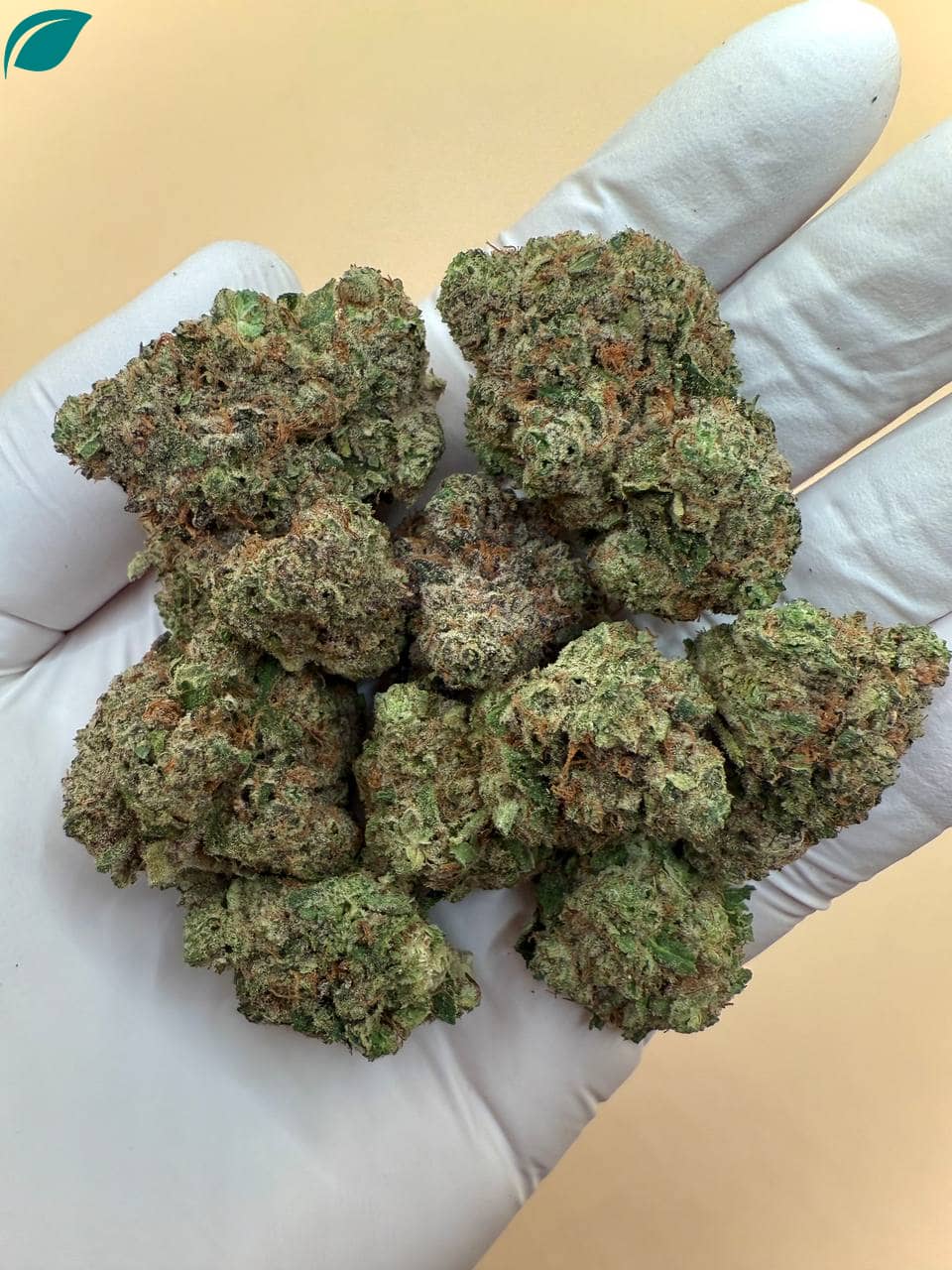Girl Crush THCA Flower