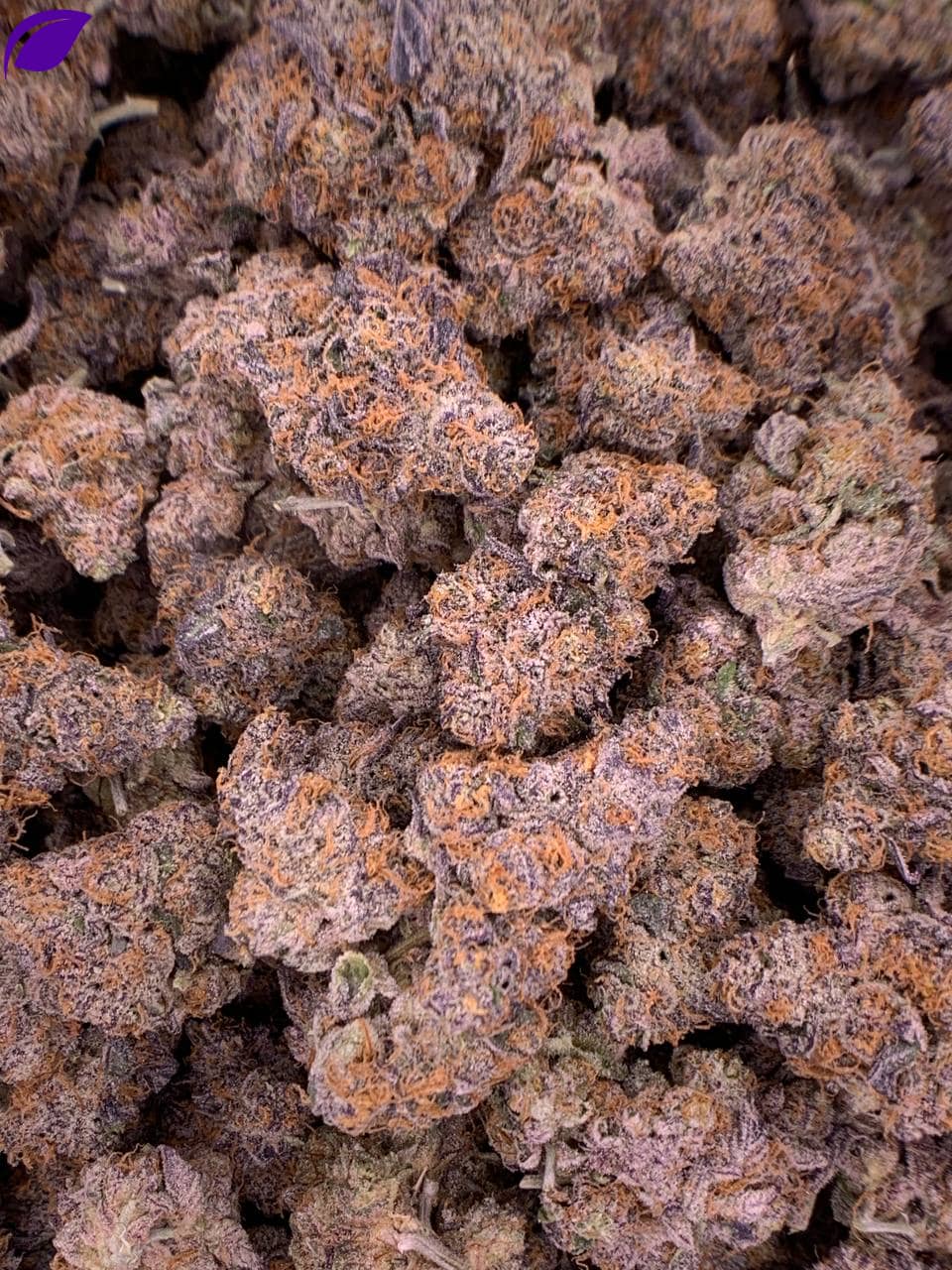 Sundae Driver THCa Flower